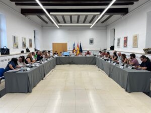 Ple ordinari juny Manises